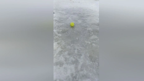 Гайд «День во Владимире». Соль и терка – как уберечься от падения на льду