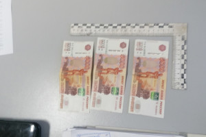 Нелегал из Петушков попал под следствие за попытку дачи взятки полицейскому