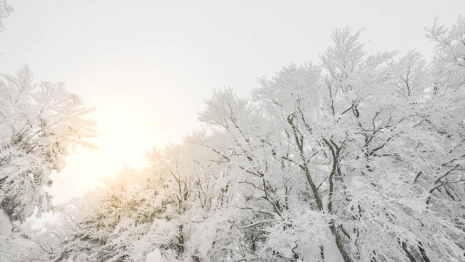 Прогноз погоды во Владимире и области на 10 февраля