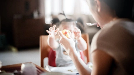 Во Владимирской области беременным и молодым мамам выплатили почти 175 млн рублей