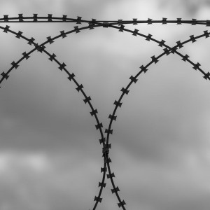 Жителя Коврова за расправу над женщиной на свидании осудили на 21,5 год колонии