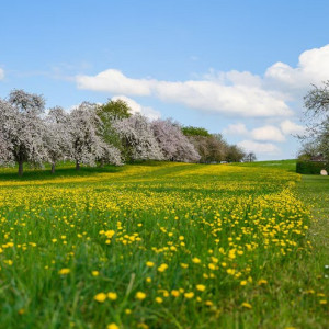 Жара во Владимире побила 20-летний рекорд