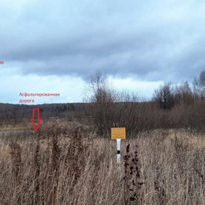 «Живых людей не слышат». Жители Сокола рассказали о борьбе против нового кладбища