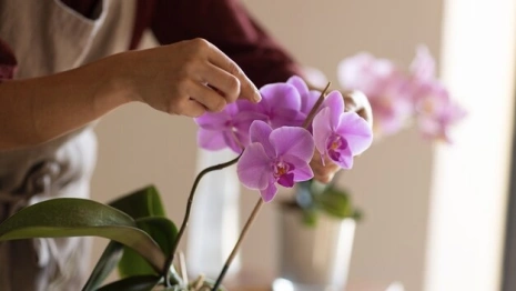 Во Владимире 24-летнего рецидивиста осудили за ограбление цветочного