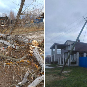  Во Владимирской области назвали оставшиеся без света из-за урагана поселки и деревни