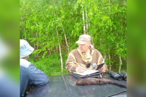 Во Владимирской области охотник убил краснокнижную европейскую норку
