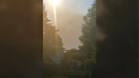 Село во Владимирской области засыпало пеплом от лесных пожаров