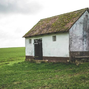 К Владимиру предложили присоединить село Собинского района
