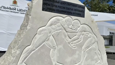 Во Владимире региональный центр спортивной борьбы назовут в честь Романа Кутузова