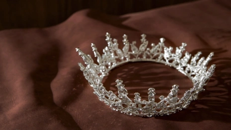 Девять жительниц Владимирской области вышли в финал конкурса «Миссис Россия-2024»