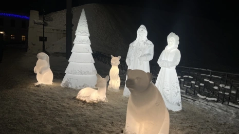 Мэрия Владимира пожаловалась на ломающих новогодние украшения вандалов