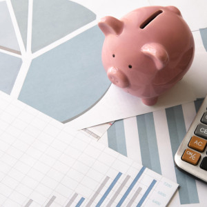 Владимирскую область включили в оранжевую зону по закредитованности жителей