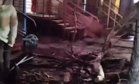 Падение дерева на прохожих в Гусь-Хрустальном привело к уголовному делу