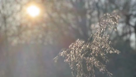 Прогноз погоды во Владимирской области на 30 марта 2025 года