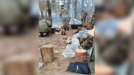 Владимирские бойцы СВО показали фото с фронта