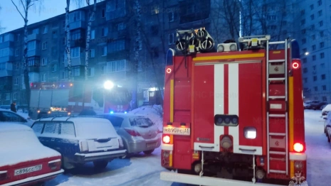 Во Владимире из горящего дома спасли двоих детей