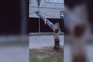 Деревня в Селивановском районе осталась без связи и Интернета из-за упавшего столба