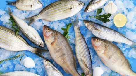 В Петрозаводске обработанную во Владимирской области рыбу выдавали за камчатскую