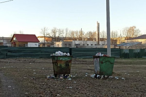 Во Владимирской области запустили «горячую линию» для жалоб на вывоз мусора