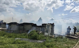 Пожар на ферме в Муроме забрал жизни кроликов и нутрий