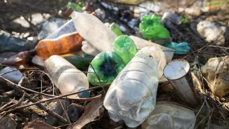 Во Владимирской области цены на вывоз мусора вырастут с 1 июля