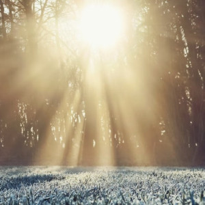 Разыскиваемую во Владимирской области 65-летнюю москвичку нашли живой