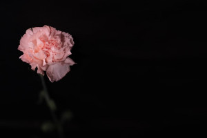 Во Владимирской области простились с погибшим при спецоперации сержантом