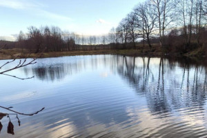 Вылов рыбы сетями во владимирском заказнике обернулся уголовным делом