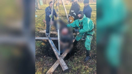 В Судогодском районе в заброшенном деревянном колодце нашли труп мужчины