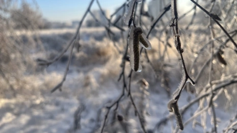 Прогноз погоды во Владимирской области на 27 февраля 2025 года