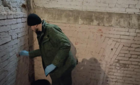 Житель Струнино изрезал бывшую возлюбленную ножом и «розочкой» из бутылки