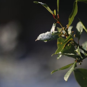 Синоптики рассказали, каким будет март в 2023 году 