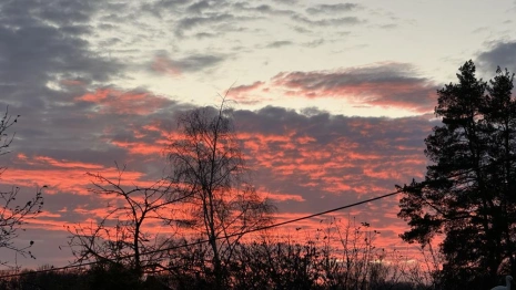 МЧС разослало срочное сообщение об угрозе атаки БПЛА во Владимирской области