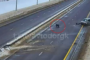 Появились подробности ДТП с вылетевшем на ходу пассажиром на М-12 под Владимиром