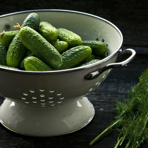 День огурца в Суздале. Как зародился знаменитый летний фестиваль
