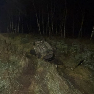 В Гусь-Хрустальном районе водитель и пассажир иномарки погибли после столкновения с деревом