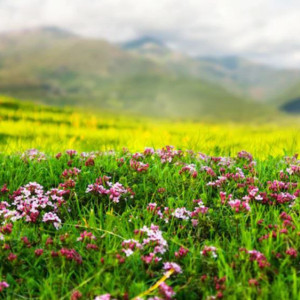 В выходные во Владимирскую область придет теплая погода