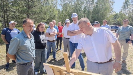 На окраине Меленок благоустроят лыжную трассу