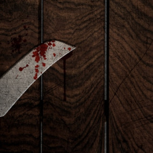 Жителя поселка под Александровом осудили за убийство в Новый год