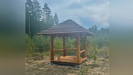 Во Владимирской области назвали лучшее место для отдыха в лесу