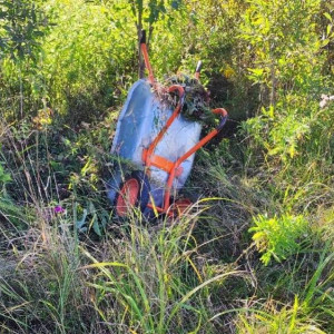 «Остались в живых». Под Суздалем произошла необычная авария с участием тачки