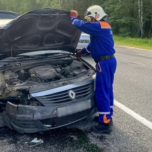 В Камешковском районе столкнулись Renault Logan и BMW