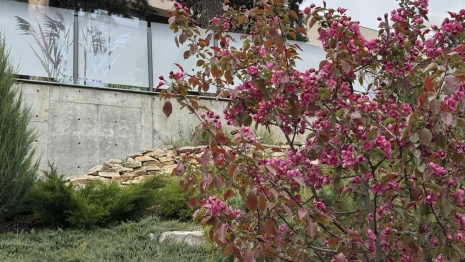 Прогноз погоды во Владимирской области на 21 мая 2025 года