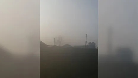 Мощный смог и невыносимая гарь накрыли село во Владимирской области