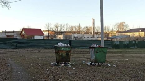 Во Владимирской области запустили «горячую линию» для жалоб на вывоз мусора