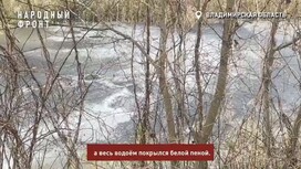 История со сбросом отходов в водоем во Владимире дошла до Бастрыкина