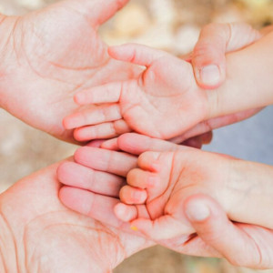 Во Владимирской области поддержку оказали более 19 тысячам членам семей участников СВО