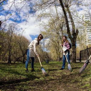 Во Владимирской области ликвидировали 17 стихийных свалок за неделю