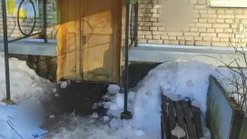 Бастрыкин взял на контроль историю с гибелью женщины из-за падения снега в Собинском районе