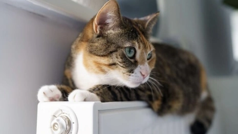 Где во Владимире включат отопление 3 октября